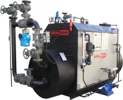 Aralsan Indirect Steam Generator